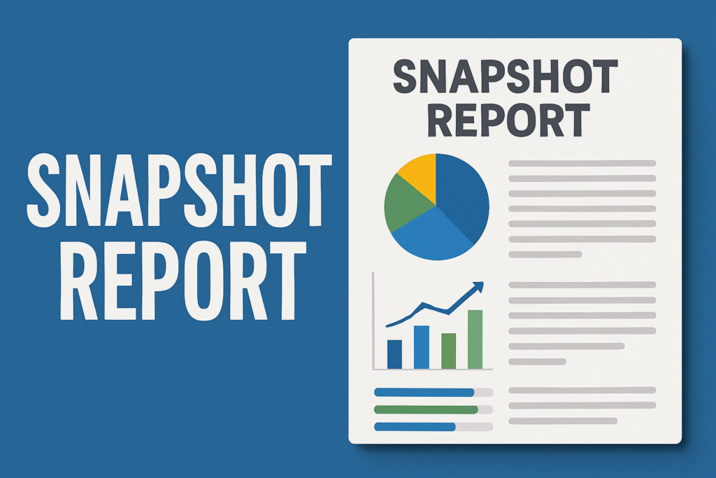 Unveiling Your Business's Digital Presence with a Snapshot Report 2 Key Components of a snapshot report